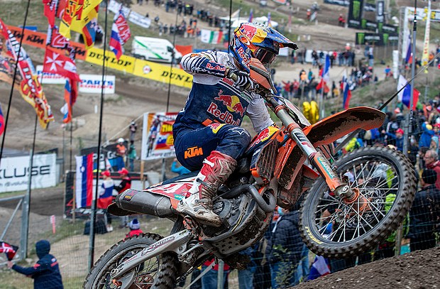 herlings arco