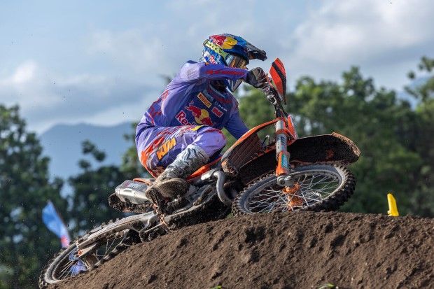 herlings west nusa tenggara ind