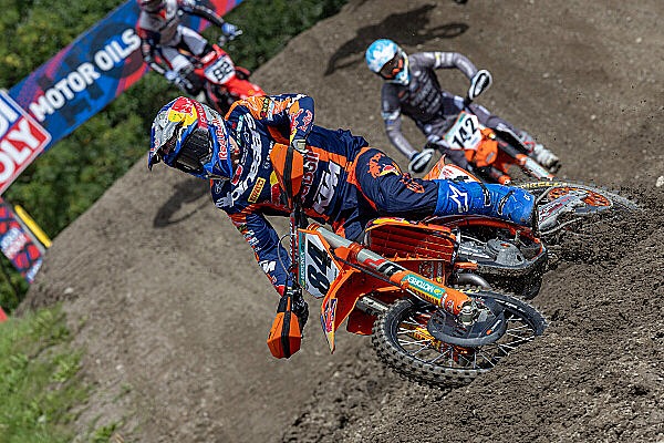 herlings arnhem