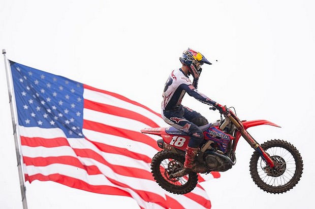 jlawrence redbud