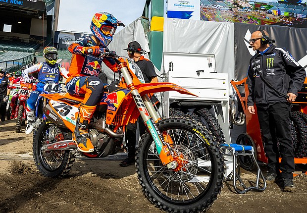musquin a1