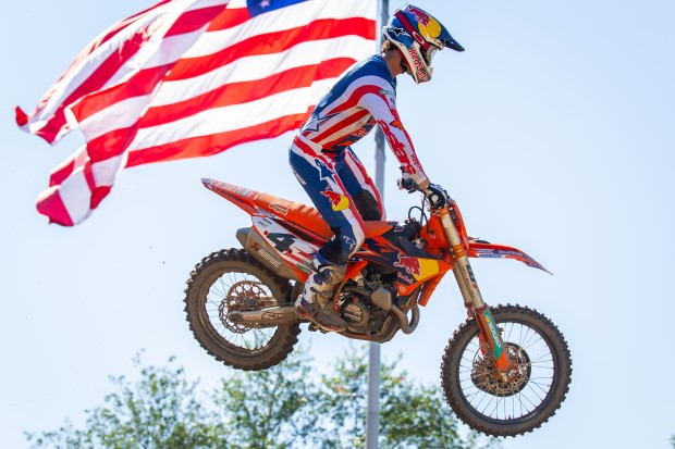 sexton redbud 1 1