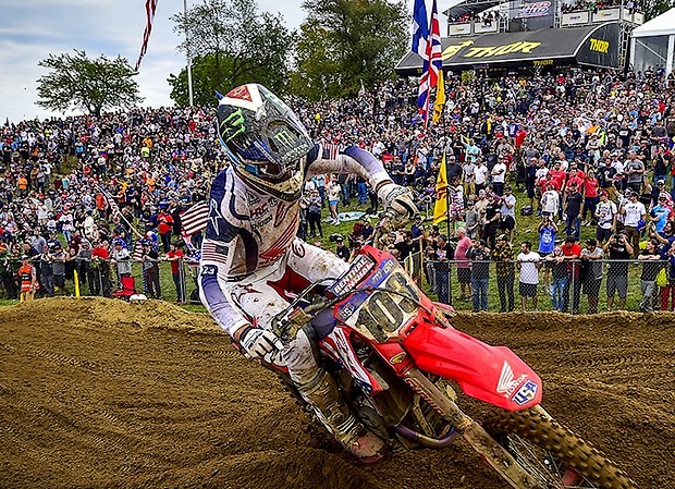 sexton redbud sat