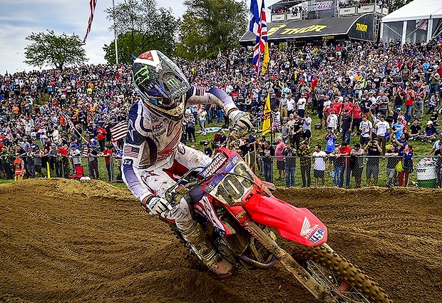sexton redbudmxonjpg