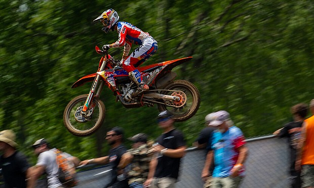 vohland redbud