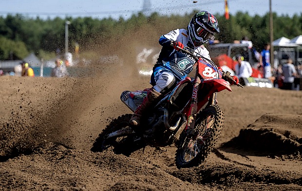 herlings 1 1 lommel