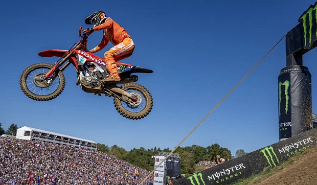 herlings ernee