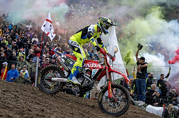 herlings2 arco