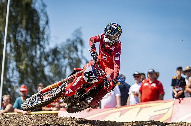 herlings loket 1 1