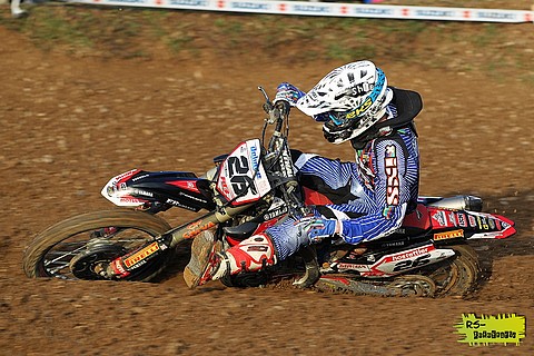 Delince frankb2013