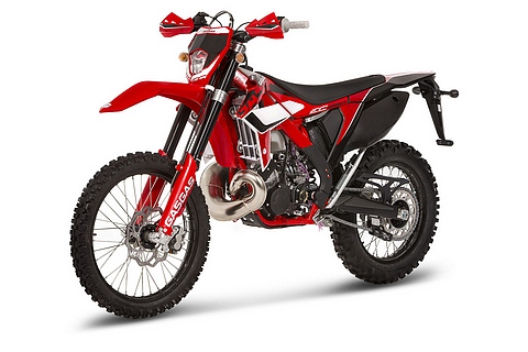 gg ec250 standard 0031
