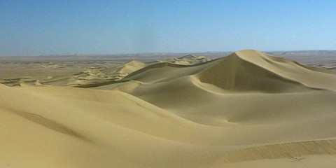 rally952a9 pharaos