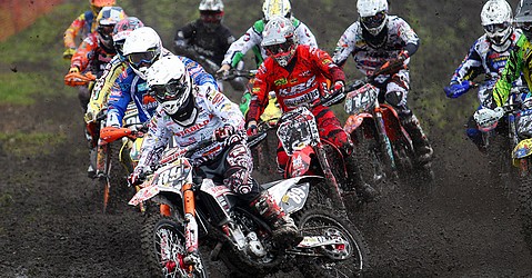 mxm freisng st-2012