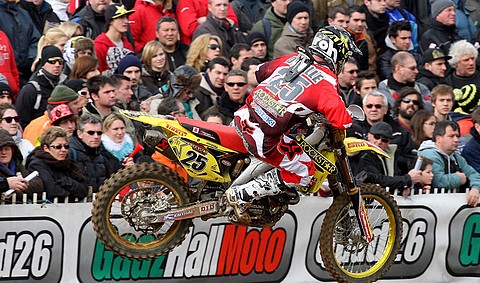 Desalle valence-2012