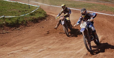 Hartm_Vog_walldf-2011