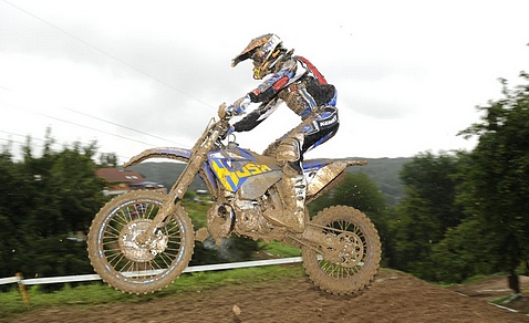Hartm_goldb-2011