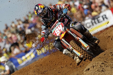 Herlings rd11-2012
