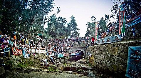 Lagares-2011