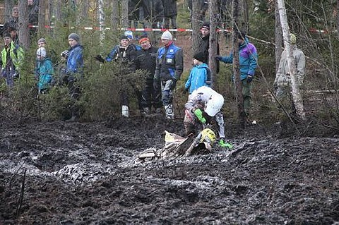 Novemberk-2011