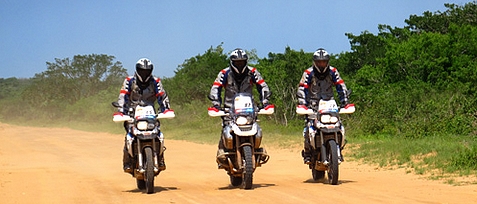 gstrophy_die_9-2010
