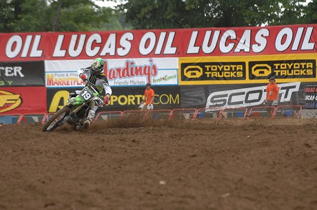 weimer_redbud