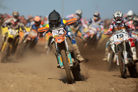 mxweb2