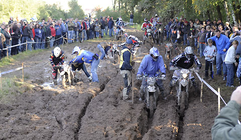 2010-09-dem-dachsbach-Schlammloch