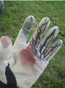 2010-09-gcc-schefflenz-straubel