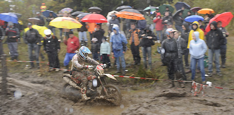 2010-10-zschopau-Salvini