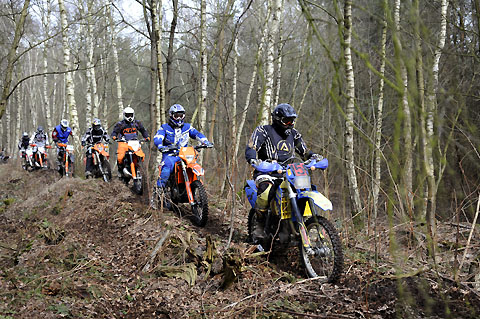 2011-11-walsrode