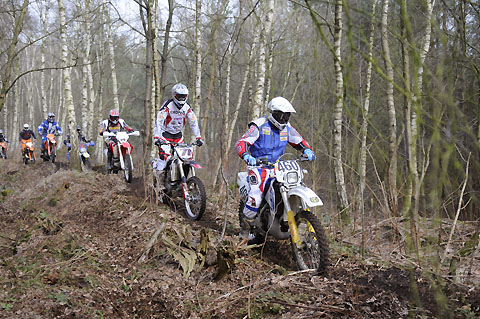 2011-3-walsrodewald