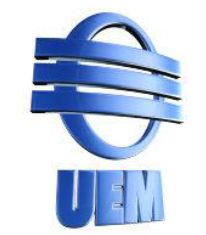 2011-6-uem