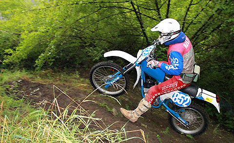 2011-8-sulzbach