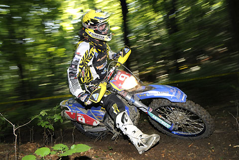 2011-8-vogels-action