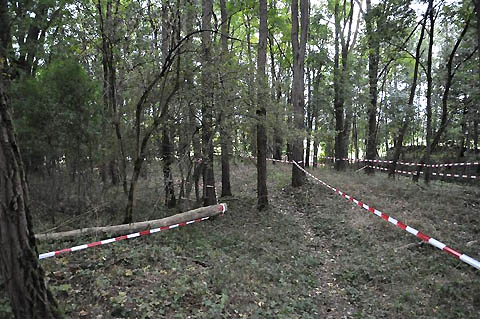 2012-10-buehlertann-enduro