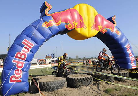 wec-redbull