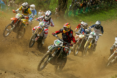 vorschau acc 2015