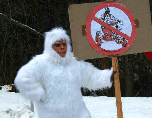yeti